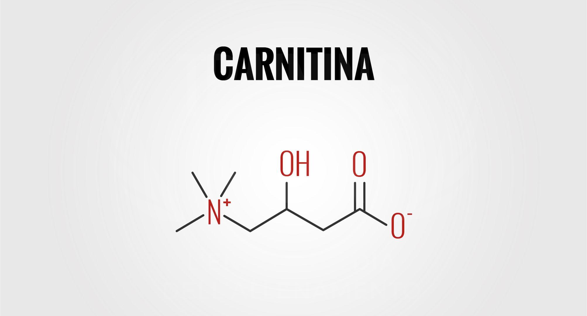 Carnitina formula chimica