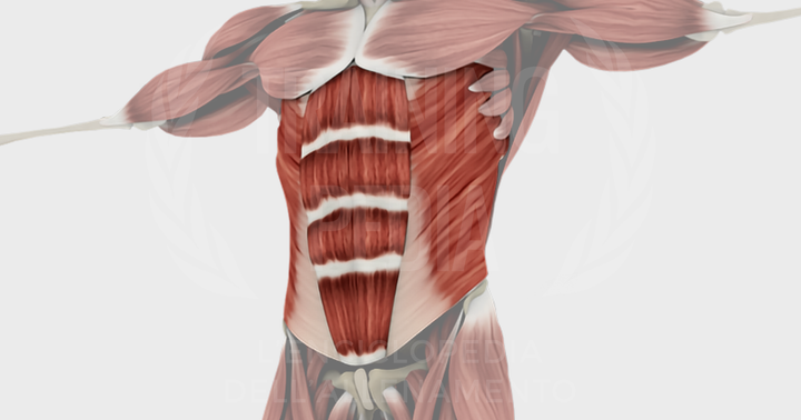 Core: significato e modalità di allenamento
