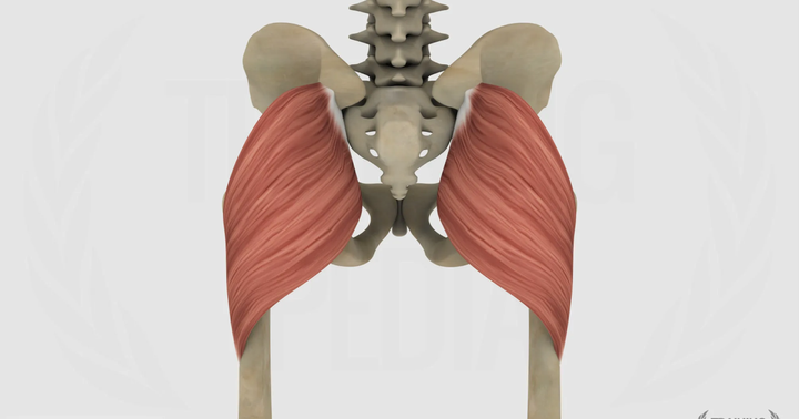 Grande gluteo